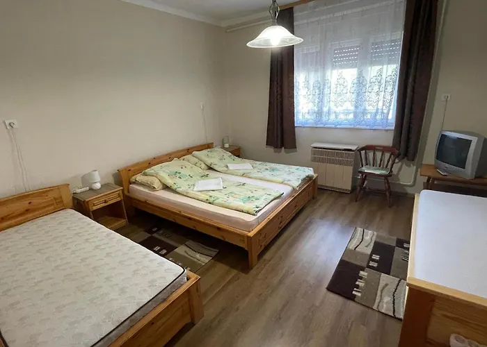 Boroka Vendeghaz Apartment *
